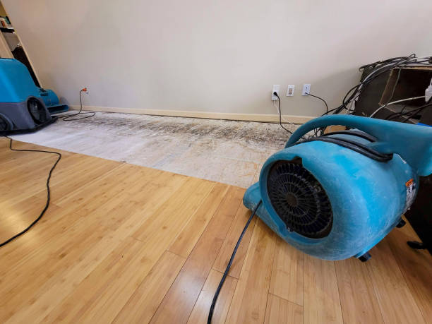 Professional Flood Damage Cleanup technician working in Sanford, CO